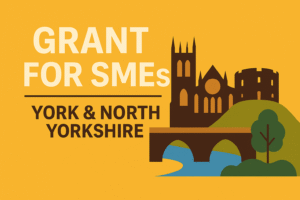 A cartoon outline of York's most famous landmarks advertising grants for SMEs in York and North Yorkshire