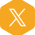 X icon@2x